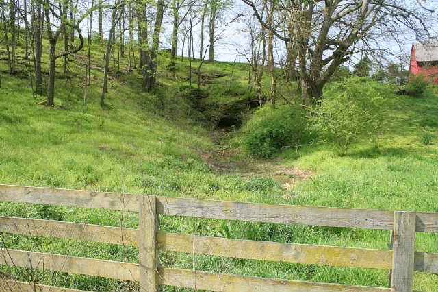 1 Raleigh-Elam Road Santa Fe, TN 38482 - Photo 9 of 13 A wet spring