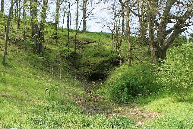 1 Raleigh-Elam Road Santa Fe, TN 38482 - Photo 10 of 13 Closer view of spring