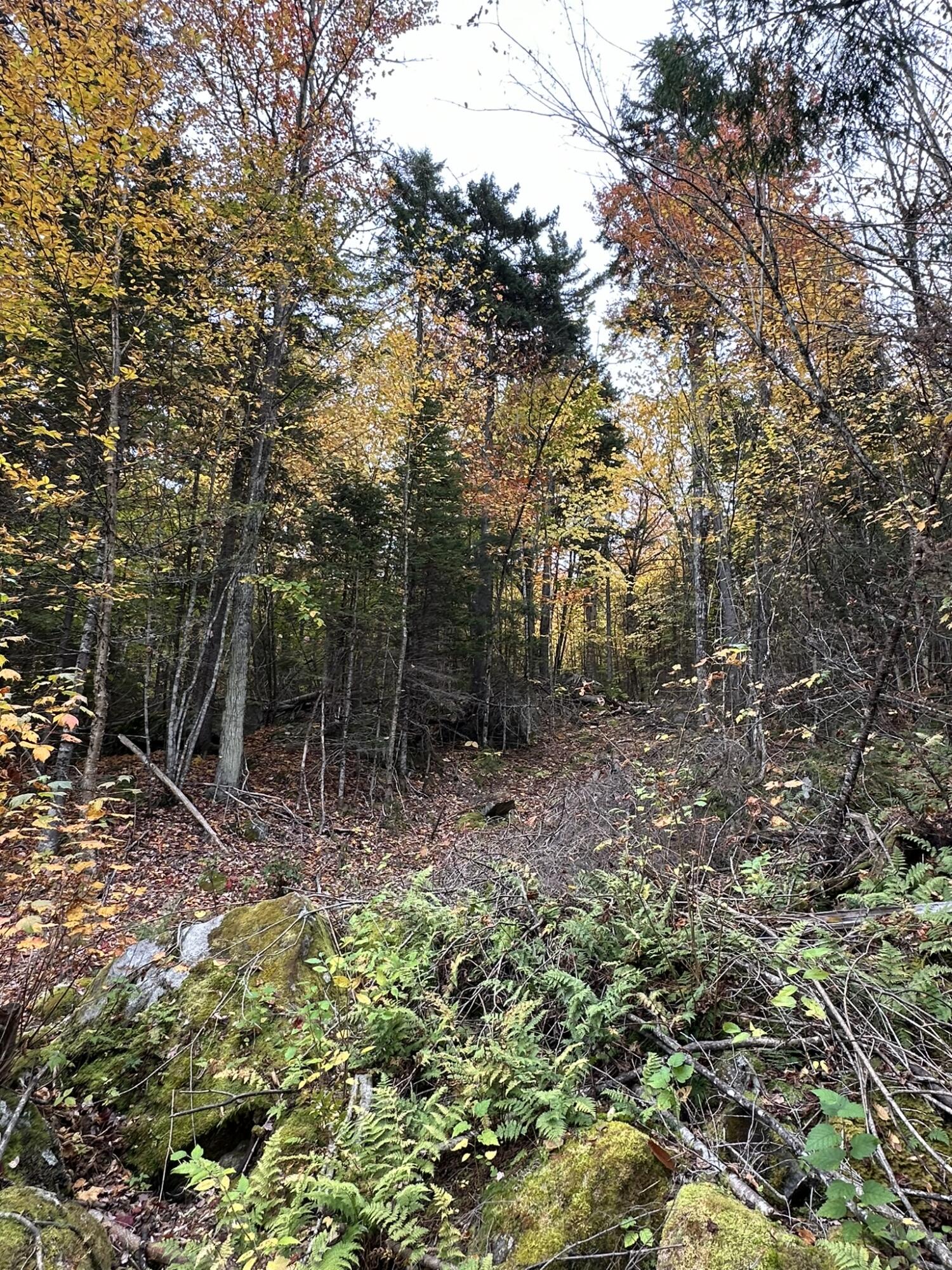 Lot #b-1 Mountain Road Stratton, ME 04982 - Photo 19 of 22 IMG_2673