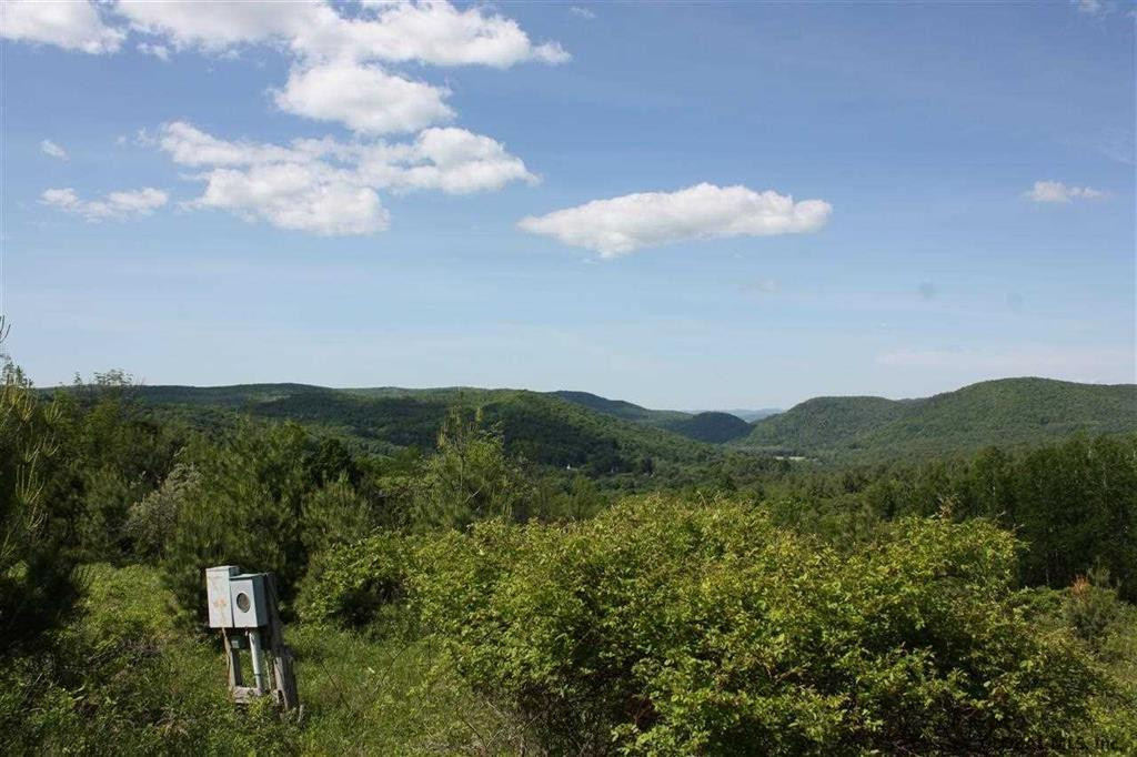 0 Maxon Road Petersburgh, NY 12138 - Photo 15 of 19 Photo 16