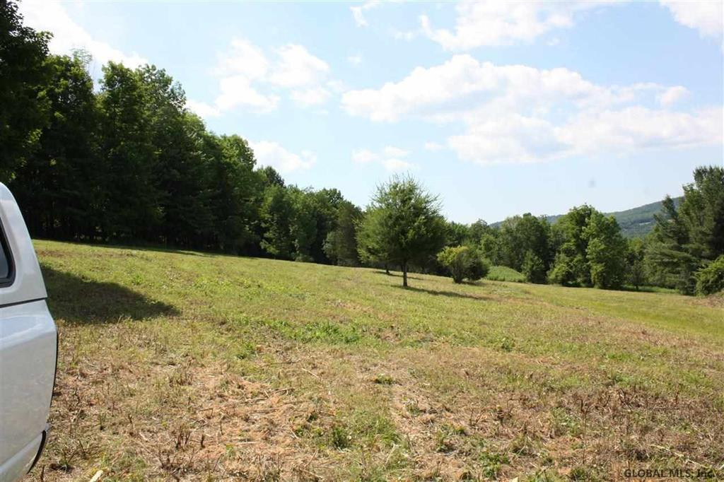 0 Maxon Road Petersburgh, NY 12138 - Photo 4 of 19 Photo 4