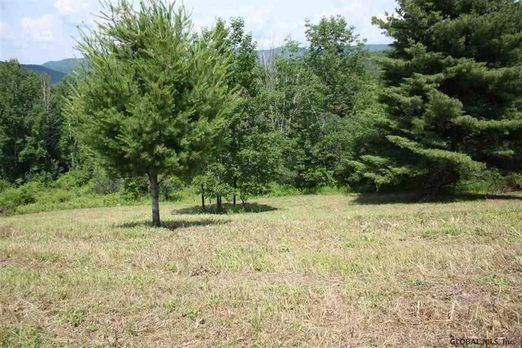 0 Maxon Road Petersburgh, NY 12138 - Photo 7 of 19 Photo 7