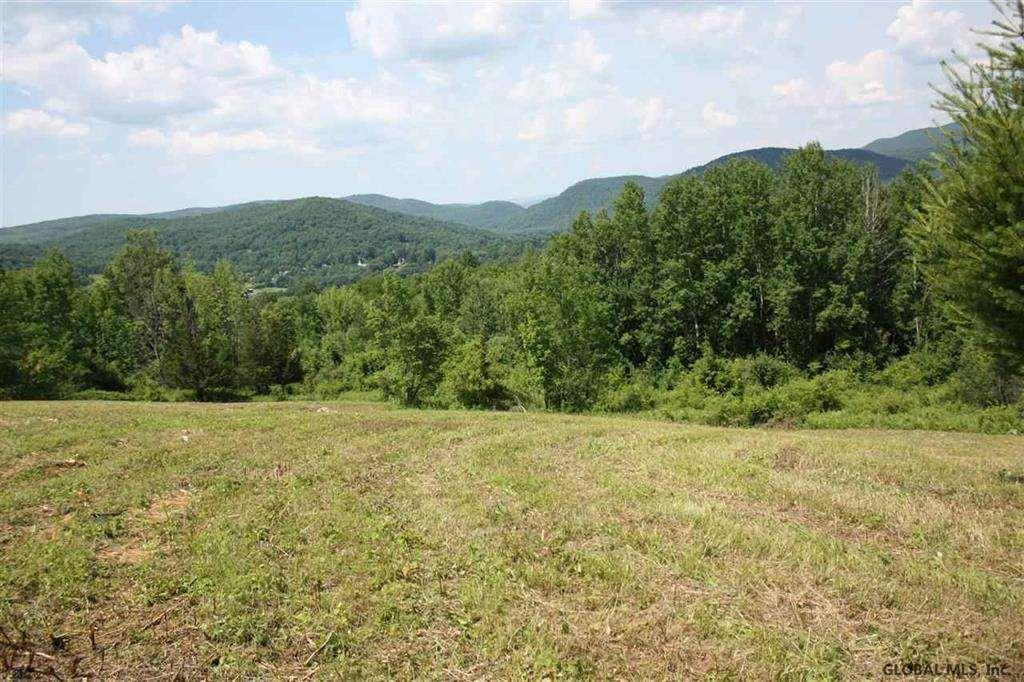 0 Maxon Road Petersburgh, NY 12138 - Photo 8 of 19 Photo 8