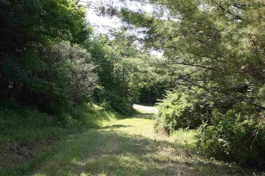 0 Maxon Road Petersburgh, NY 12138 - Photo 10 of 19 Photo 11