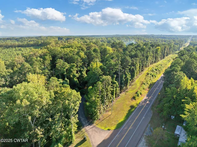 a view of a yard with a tree