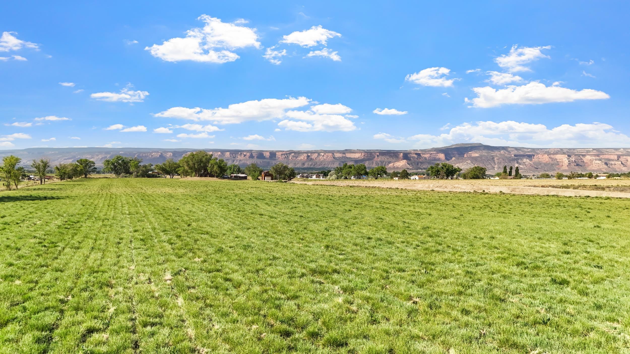 2176 J 1/4 Road Grand Junction, CO 81505 - Photo 3 of 14 Gallery Image 3