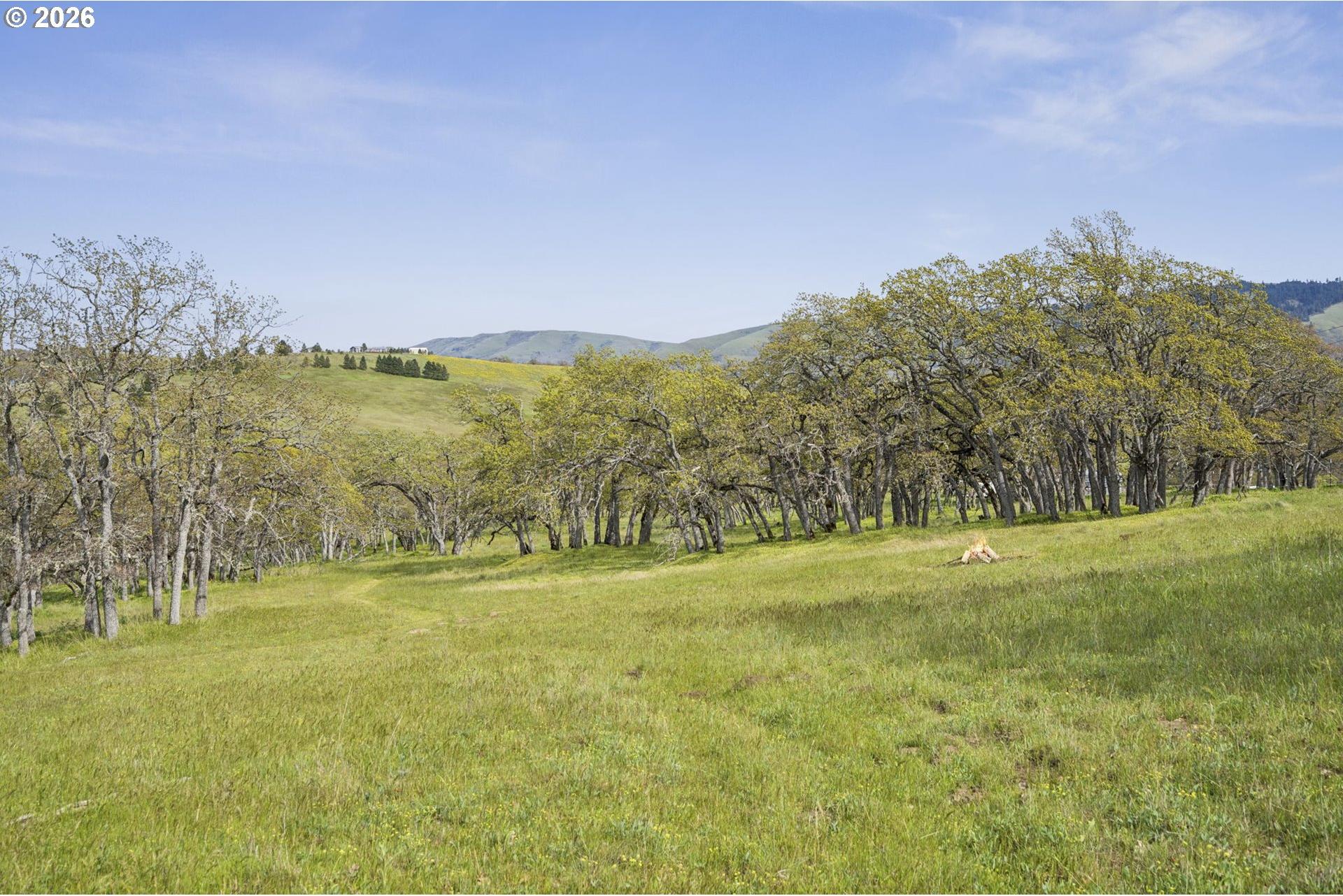 232 Oda Knight Road Lyle, WA 98635 - Photo 40 of 44 Gallery Image 40