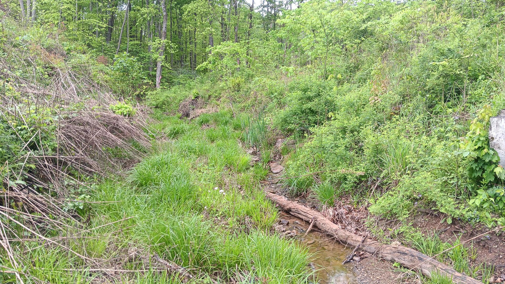 0 Hampton Hollow Road, Unit 7 ACRE TRACT) Langsville, OH 45741 - Photo 4 of 55