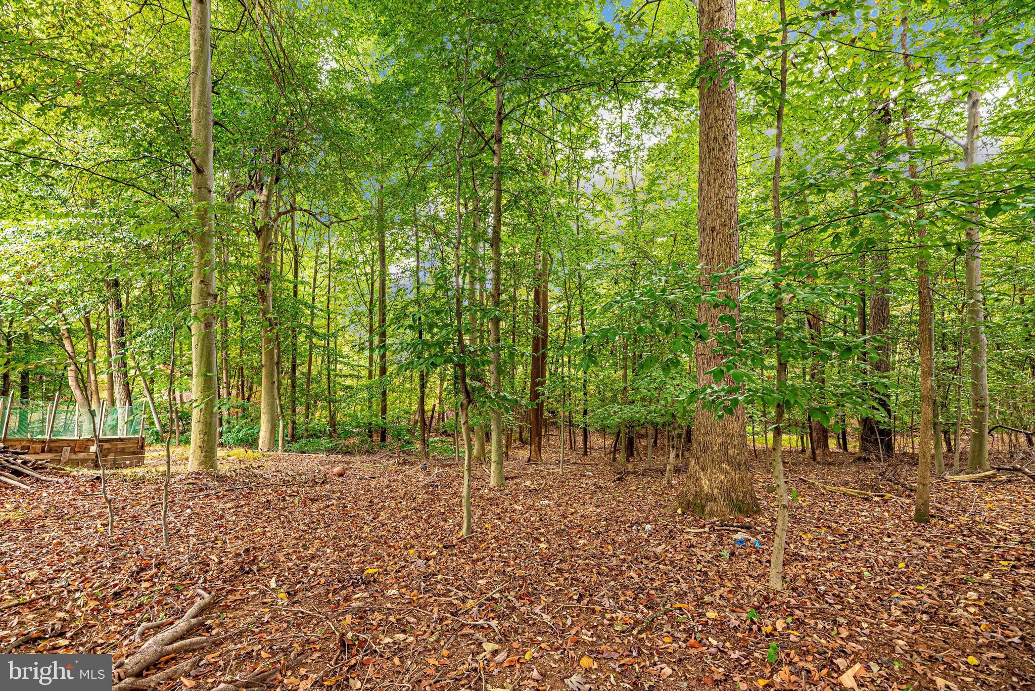 6423 Spring Forest Road Frederick, MD 21701 - Photo 47 of 64 Wooded view