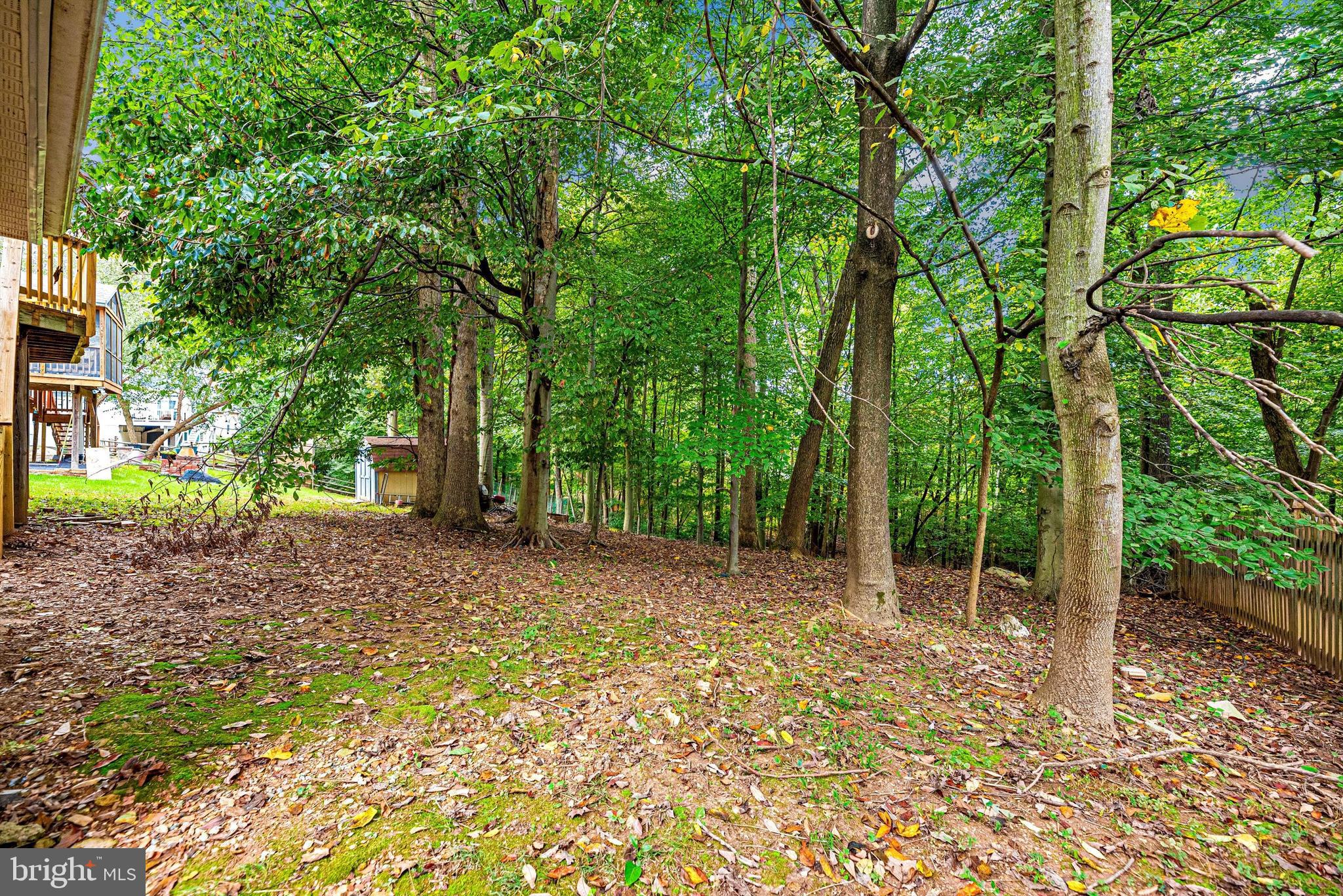 6423 Spring Forest Road Frederick, MD 21701 - Photo 48 of 64 Back yard