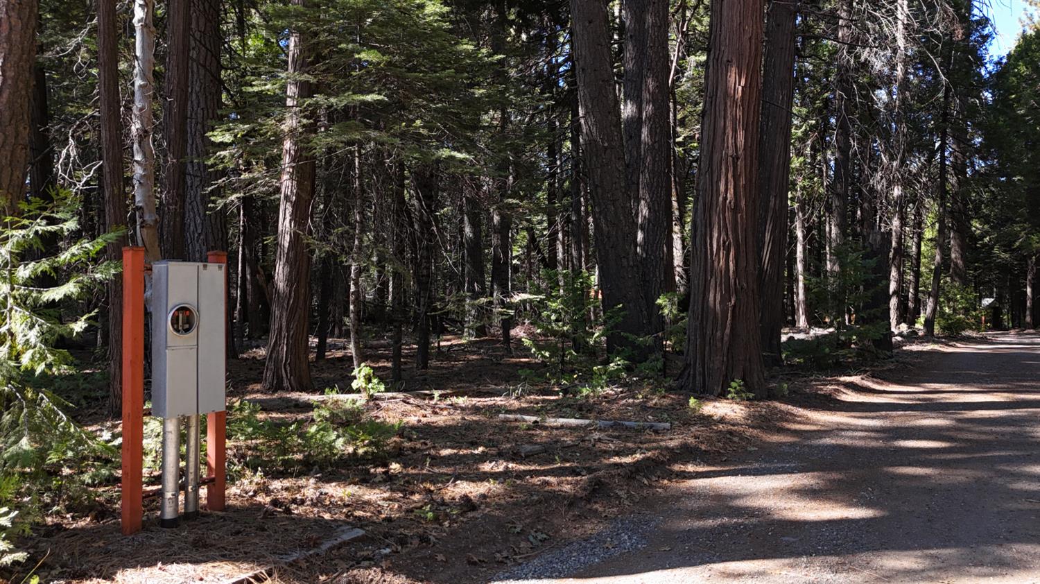 a view of street along with trees