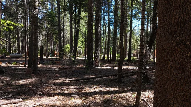 a view of outdoor space with lots of trees