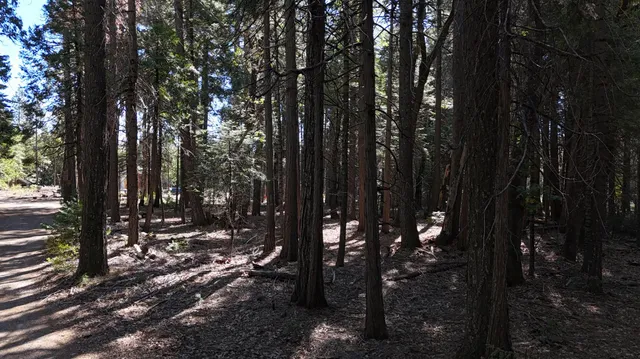 a view of outdoor space and street view