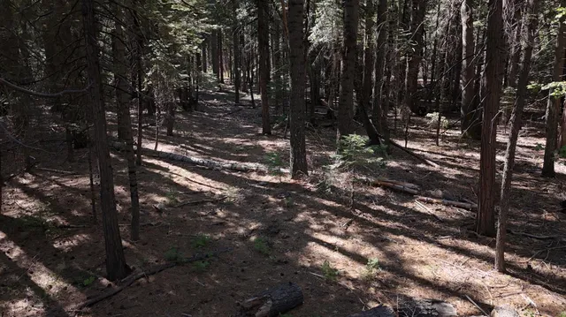 a view of outdoor space with trees