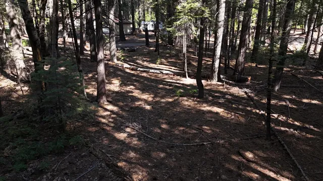 a view of outdoor space and yard