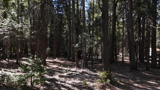a view of outdoor space with trees