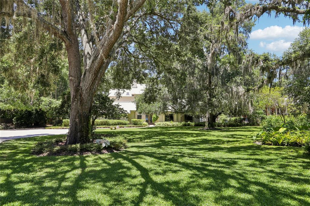17810 Crawley Road Odessa, FL 33556 - Photo 7 of 76 a big yard with lots of green space and trees