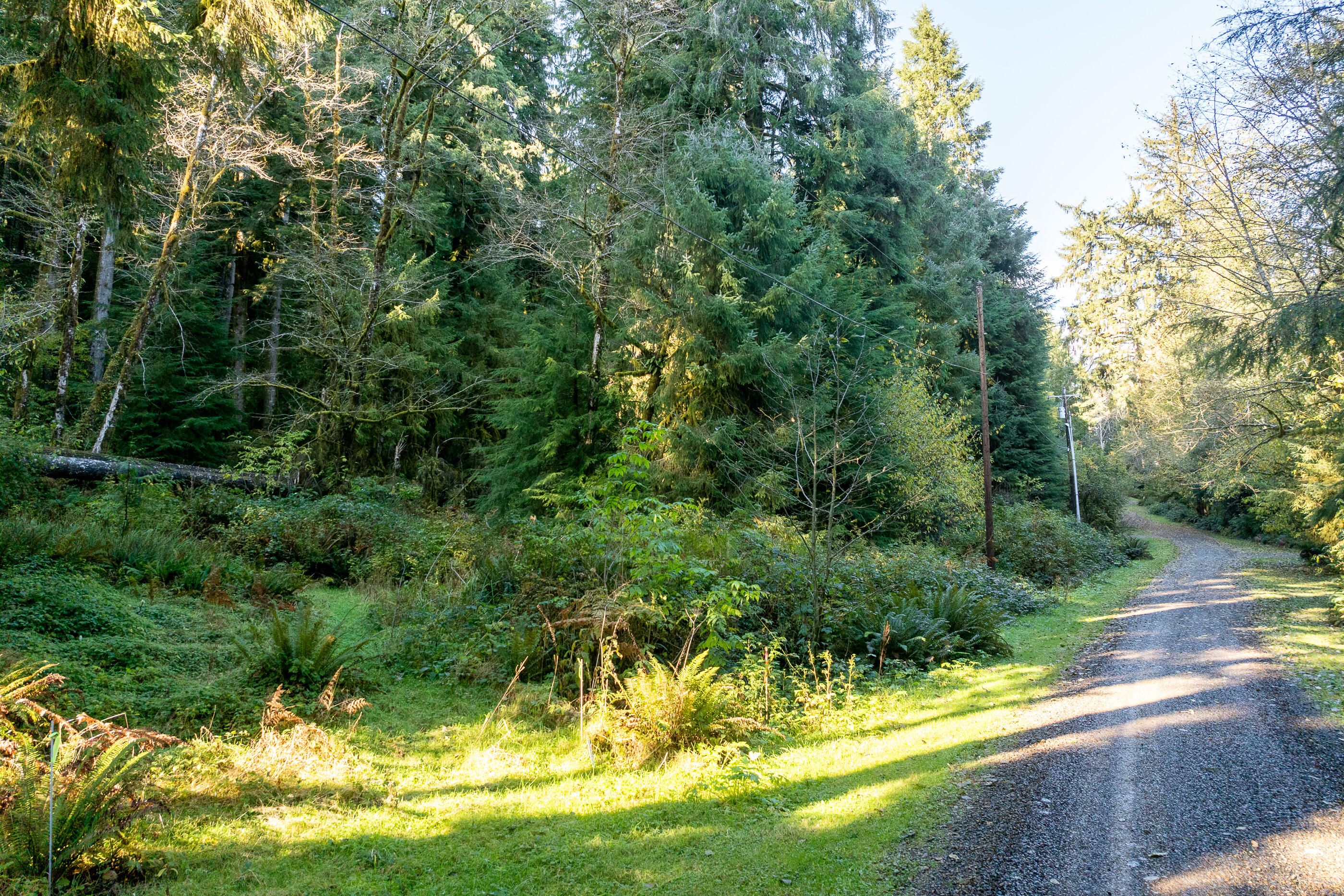 01000 Katherine Lane Nehalem, OR 97131 - Photo 5 of 13 Katherine-9-Walsh-River_Bend_Lot-003-Bro