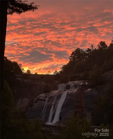 a view of a yard with plants and a road view