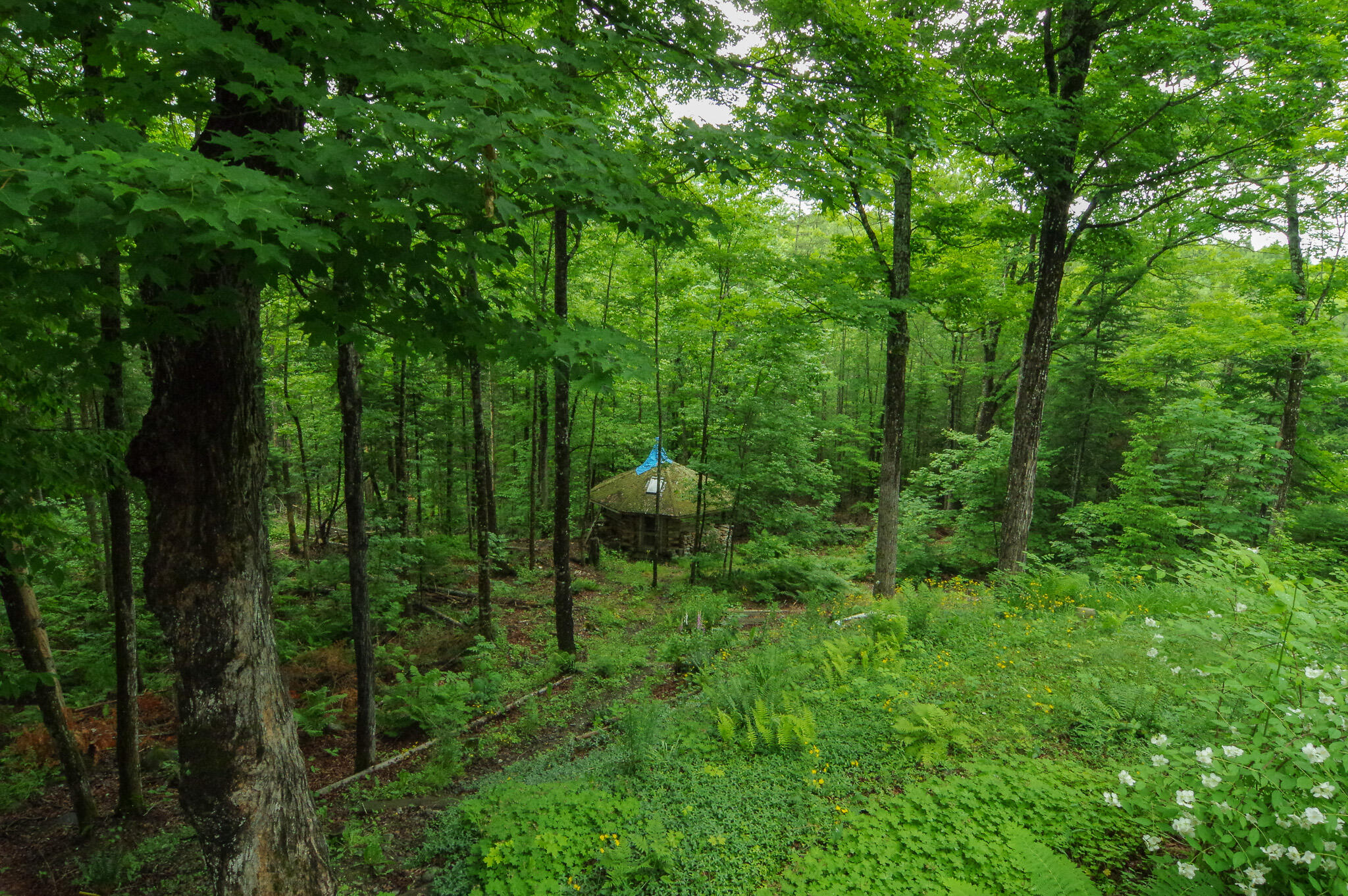 58 River Road Abbot, ME 04406 - Photo 80 of 114 IMGP0516