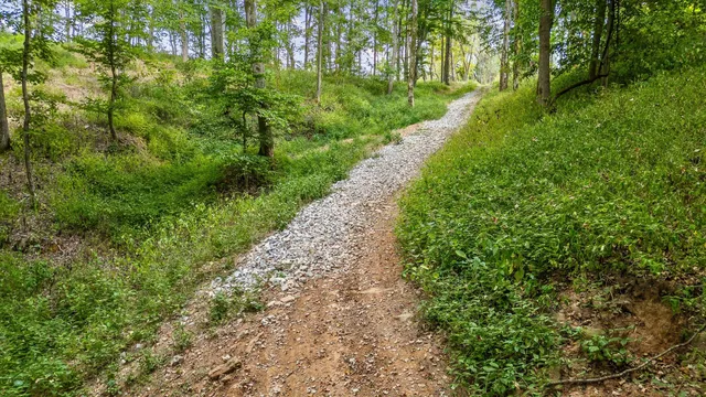 $693,750 | 12 Sturgeon Creek Road, Cedar Hill, TN 37032