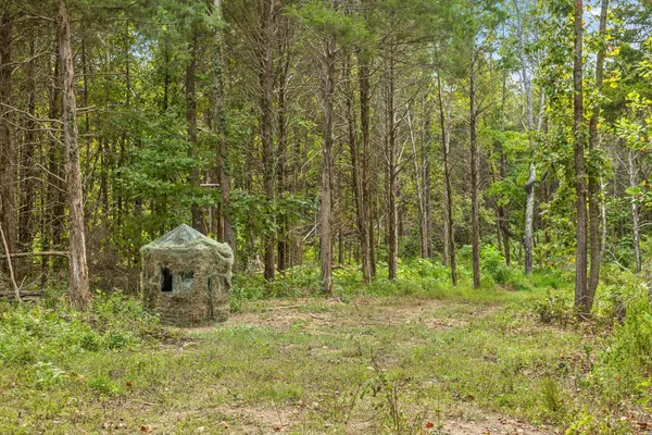 $693,750 | 12 Sturgeon Creek Road, Cedar Hill, TN 37032