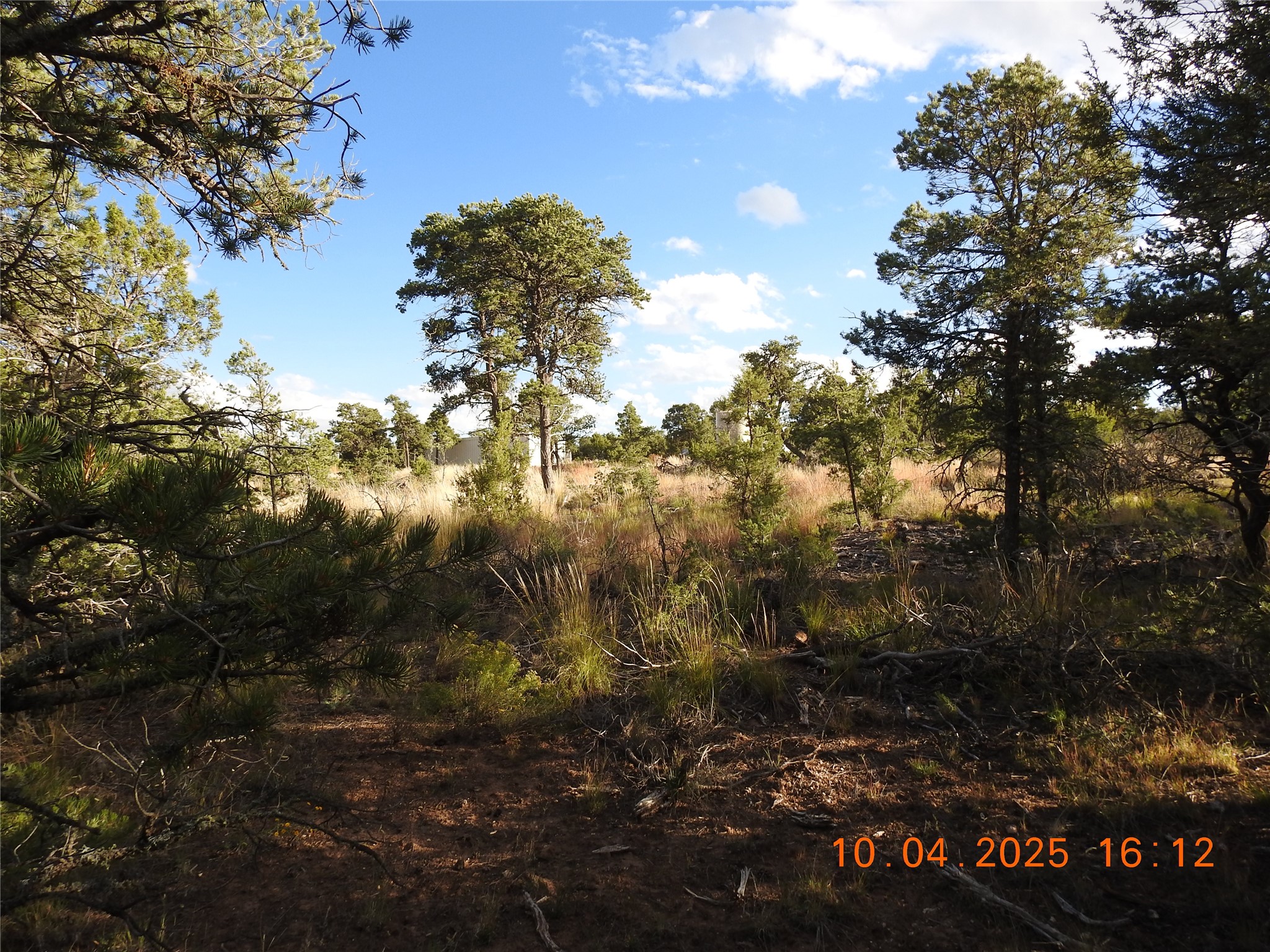 129 Tierra De Dios Ribera, NM 87560 - Photo 8 of 23