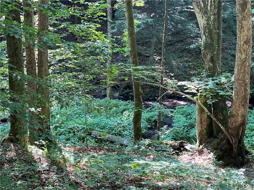 Center Road Lacona, NY 13083 - Photo 10 of 38