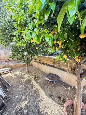 a view of backyard with green space