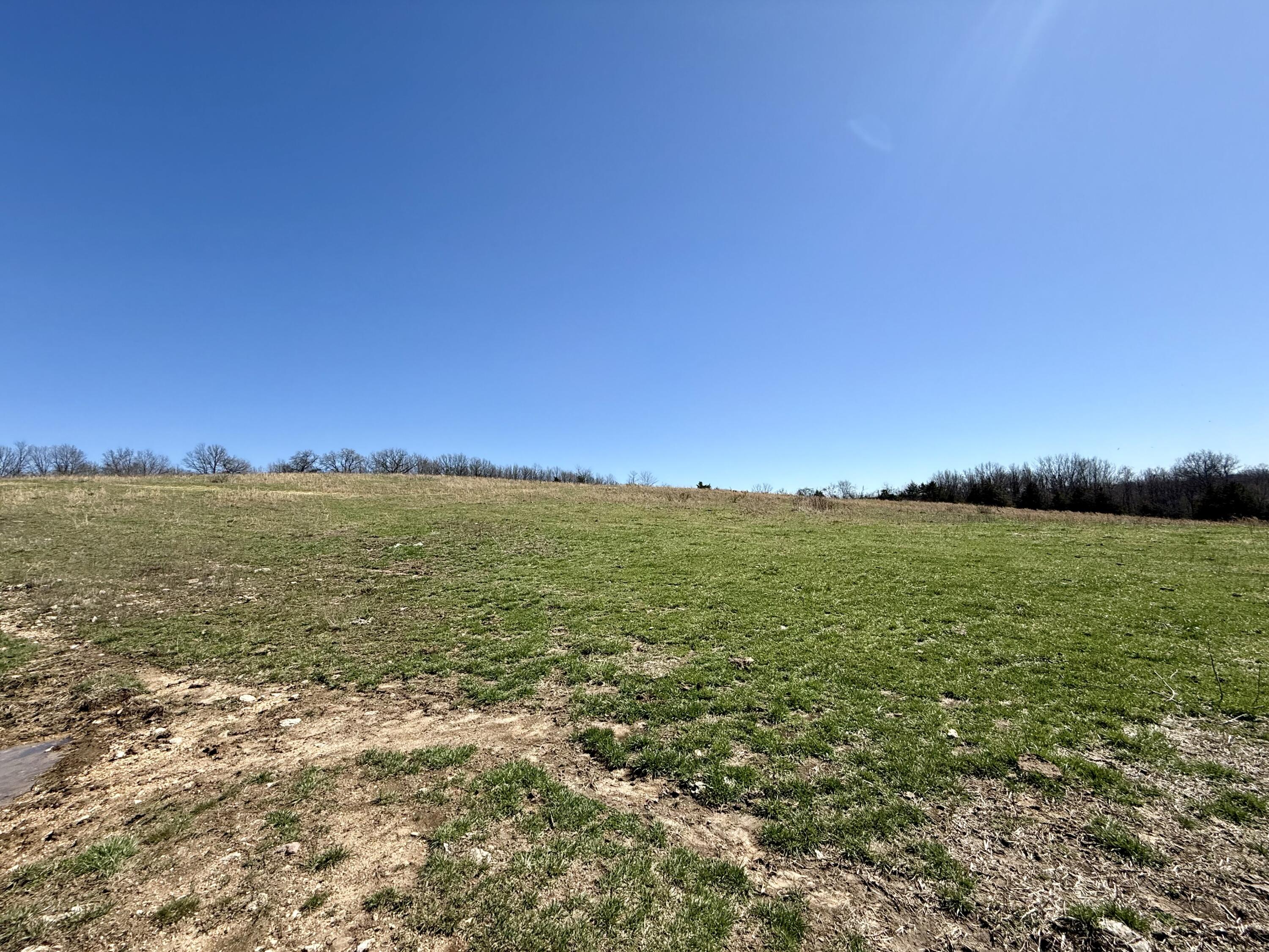 0 Barnum Drive Cabool, MO 65689 - Photo 5 of 7 IMG_0605