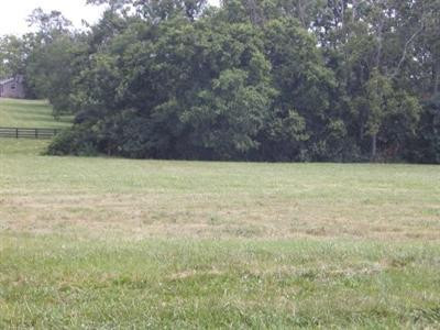 0 Concord Trail Road Olympia, KY 40358 - Photo 5 of 5 Photo 5