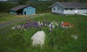2812 Pleasant Valley Road Rice, WA 99167 - Photo 1 of 9