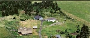 2812 Pleasant Valley Road Rice, WA 99167 - Photo 9 of 9