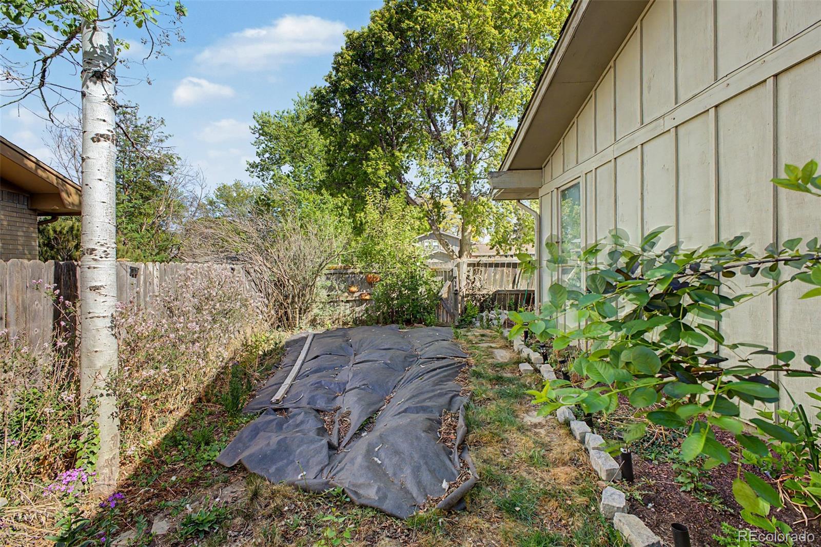 1600 Northwestern Road Longmont, CO 80503 - Photo 40 of 41 a view of a garden with plants