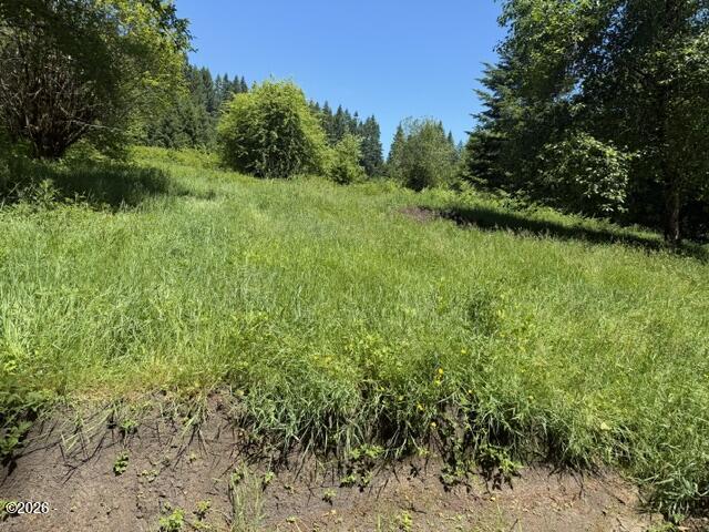 82467 Crowder Road Seaside, OR 97138 - Photo 8 of 18