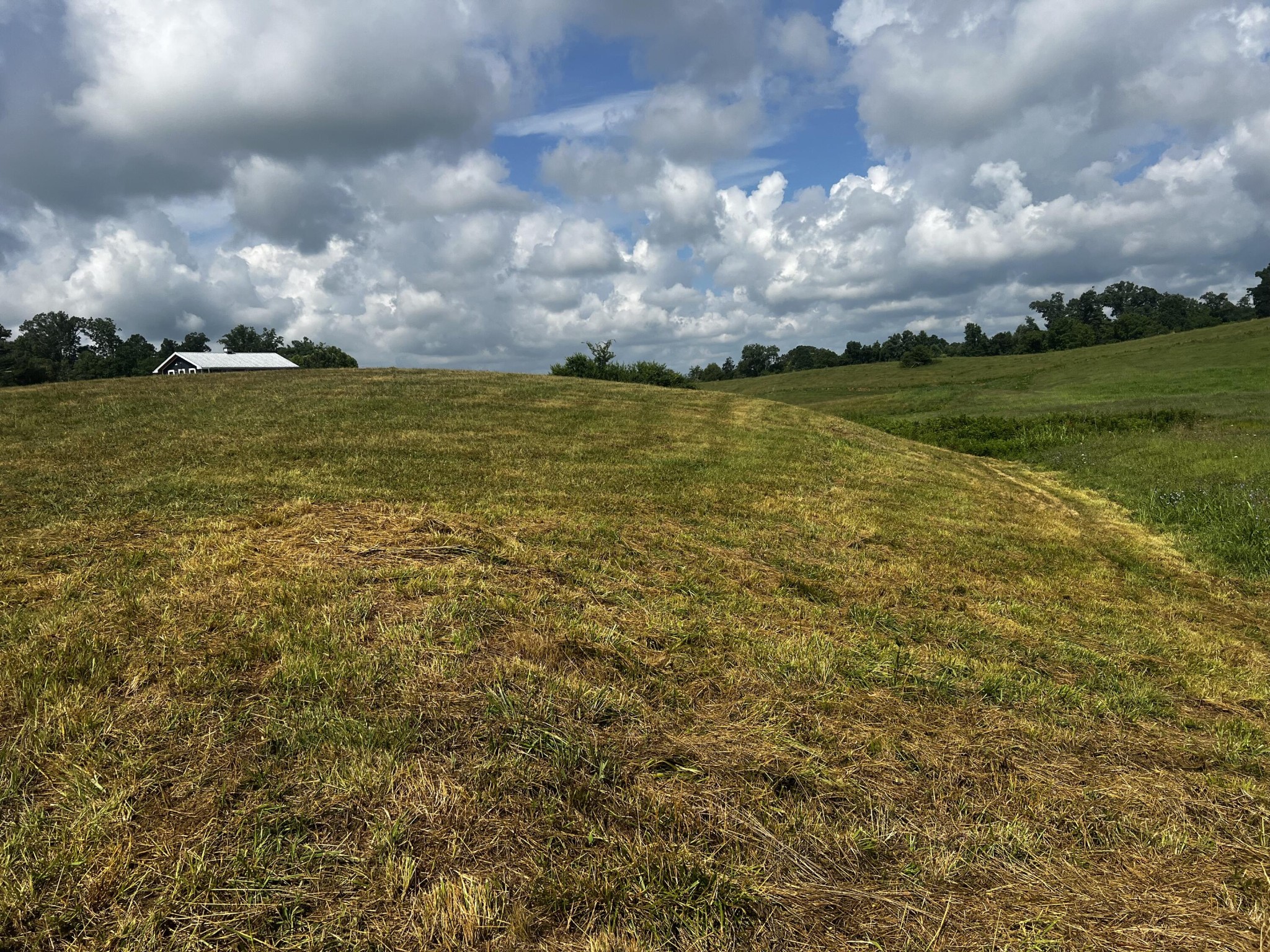 3 Sharp Road Sevierville, TN 37876 - Photo 2 of 21