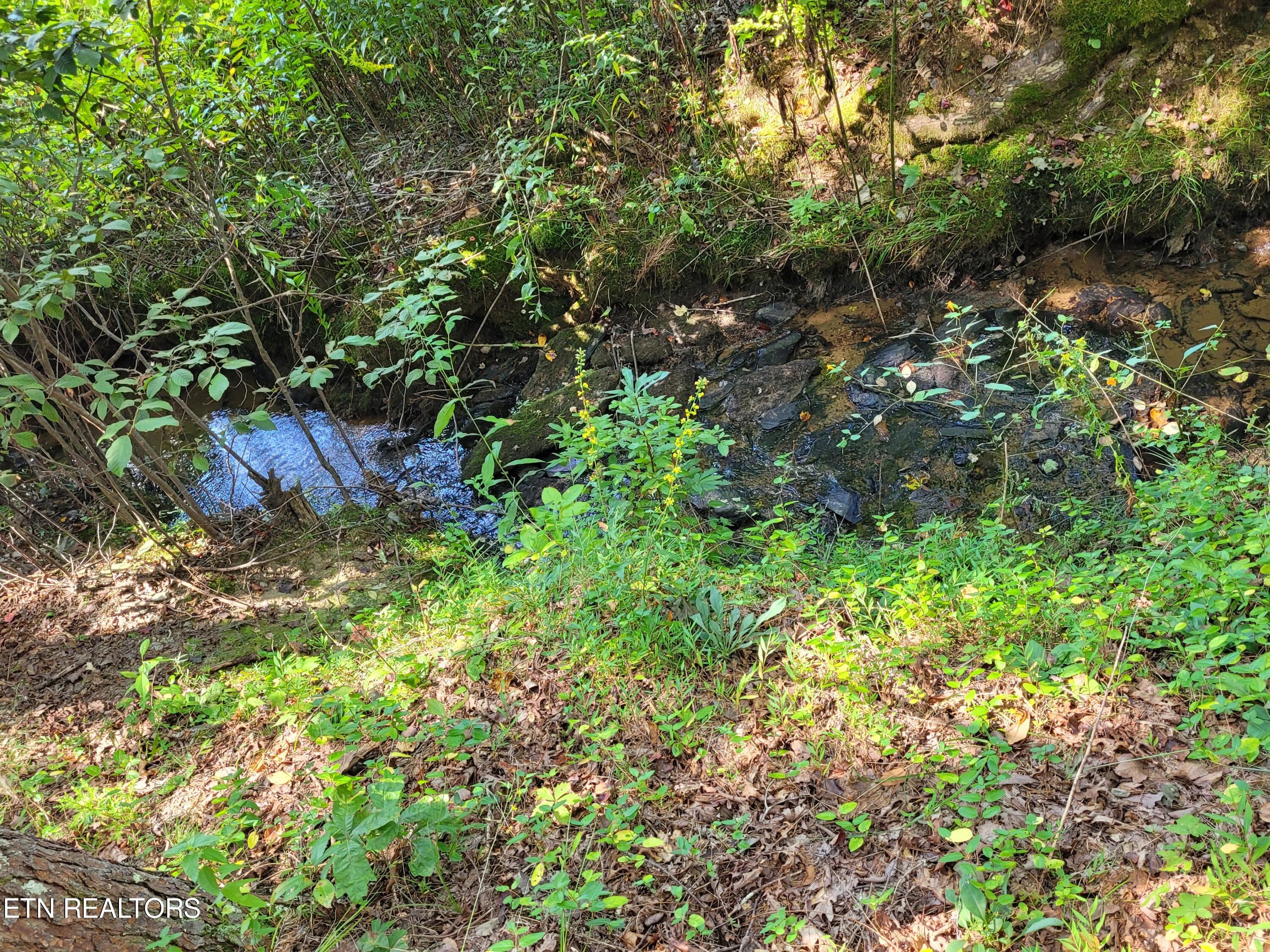 Epperson Road Tellico Plains, TN 37385 - Photo 10 of 11 20230922_123415