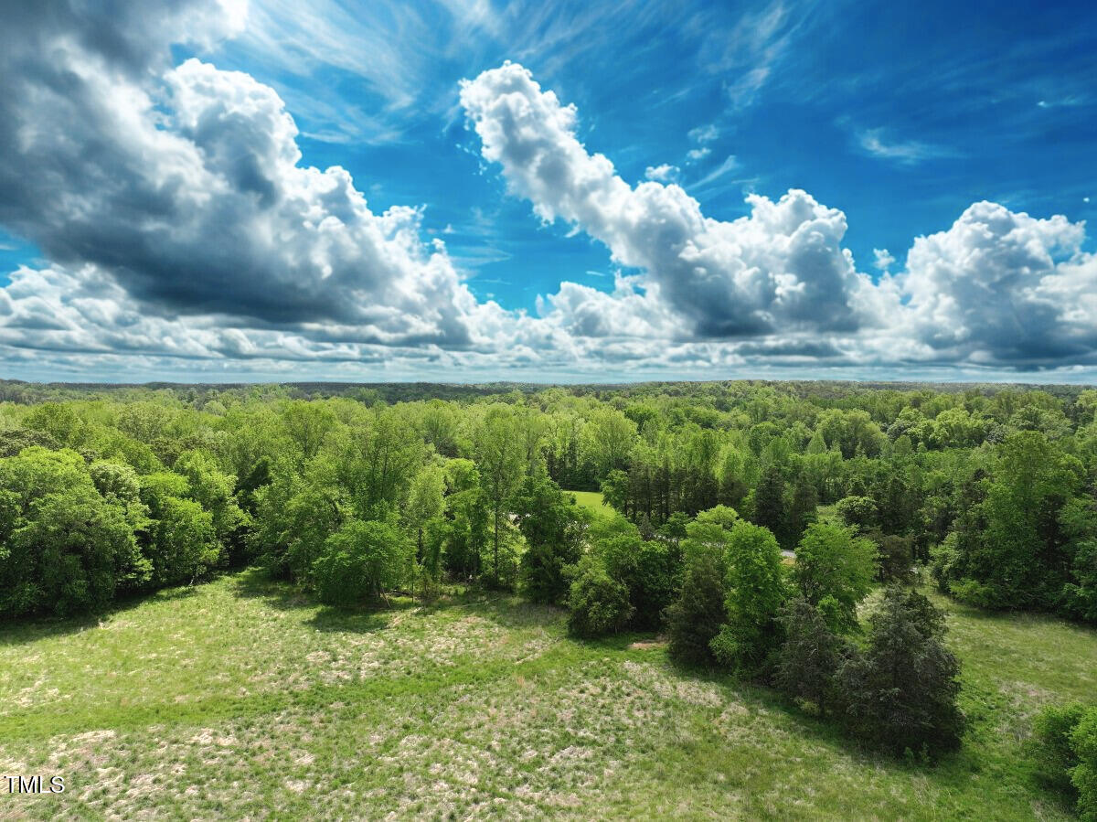 1 Longs Mill Road Blanch, NC 27212 - Photo 15 of 31 a view of a green yard with large trees