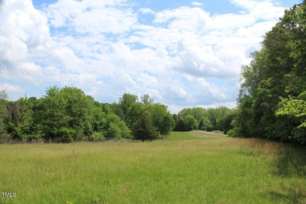 1 Longs Mill Road Blanch, NC 27212 - Photo 26 of 31 a view of a big yard with lots of green space