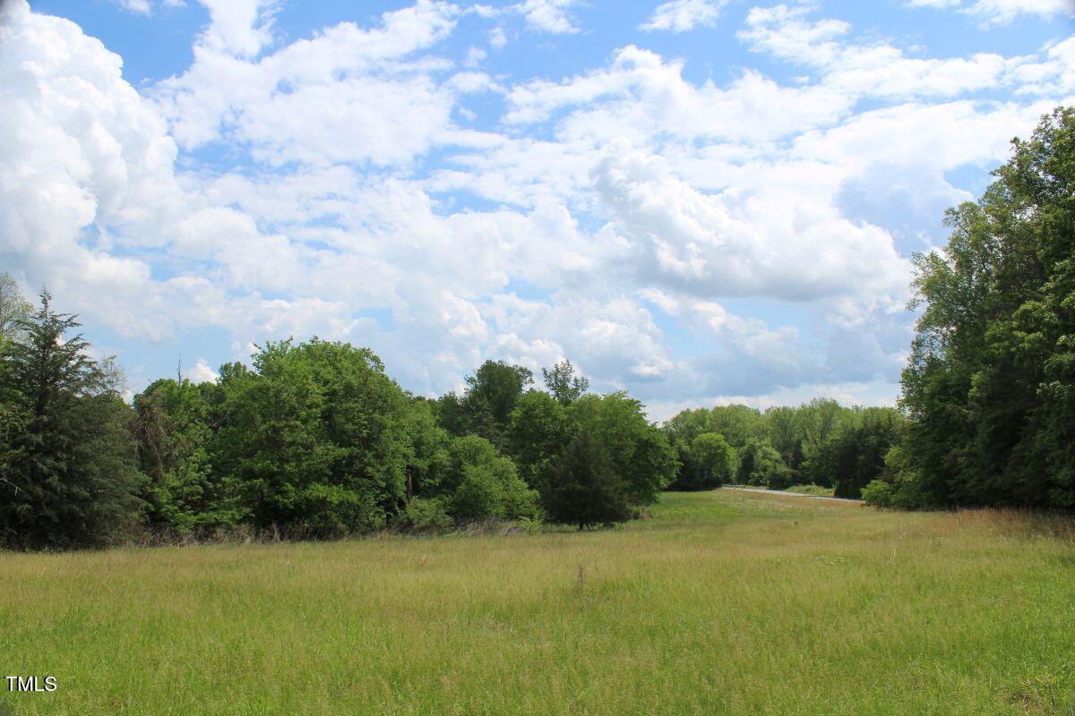 1 Longs Mill Road Blanch, NC 27212 - Photo 29 of 31 a view of a big yard with lots of green space