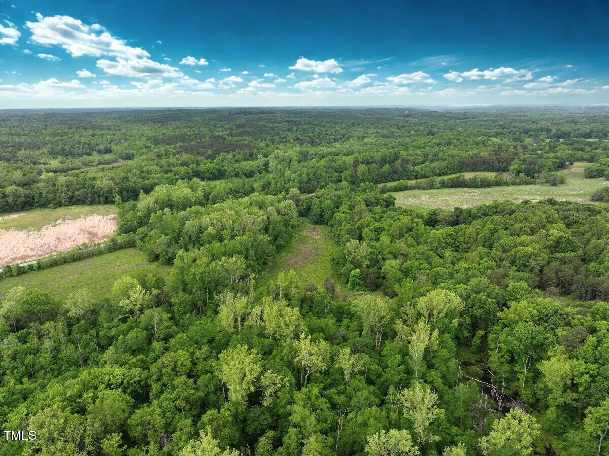 1 Longs Mill Road Blanch, NC 27212 - Photo 5 of 31 a view of a green field with lots of bushes