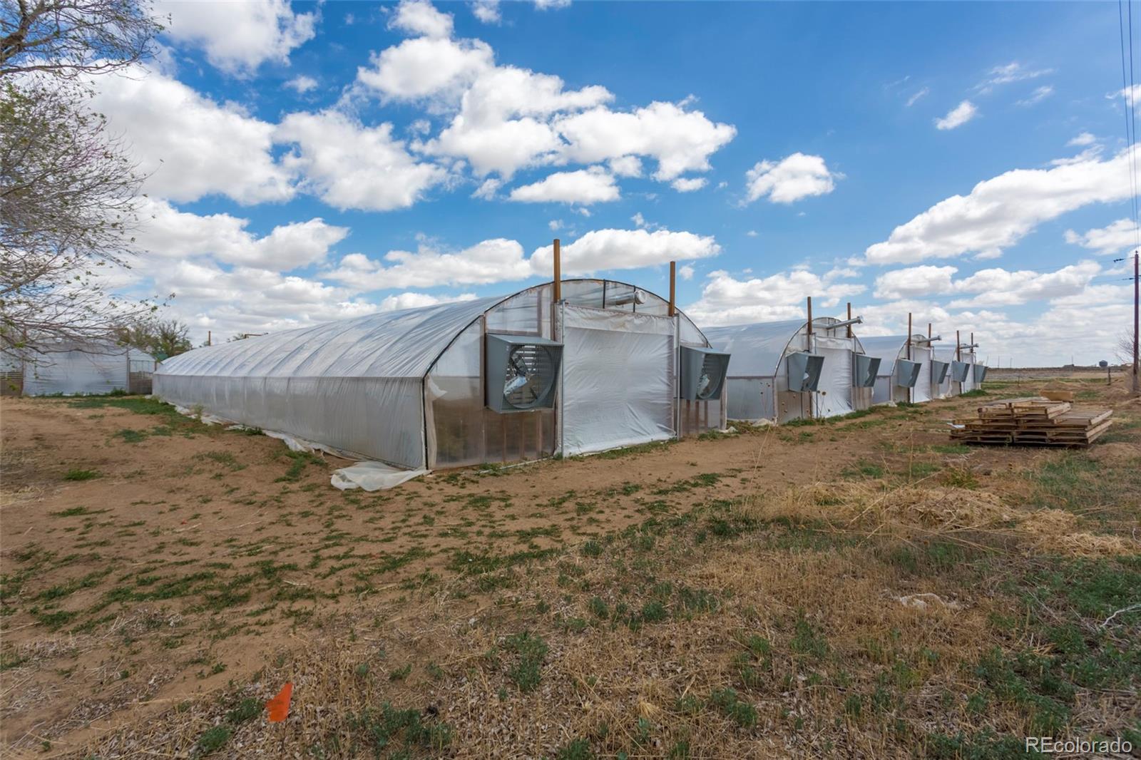 21550 Hanover Road Colorado Springs, CO 80928 - Photo 11 of 29 a view of a dry yard with wooden fence