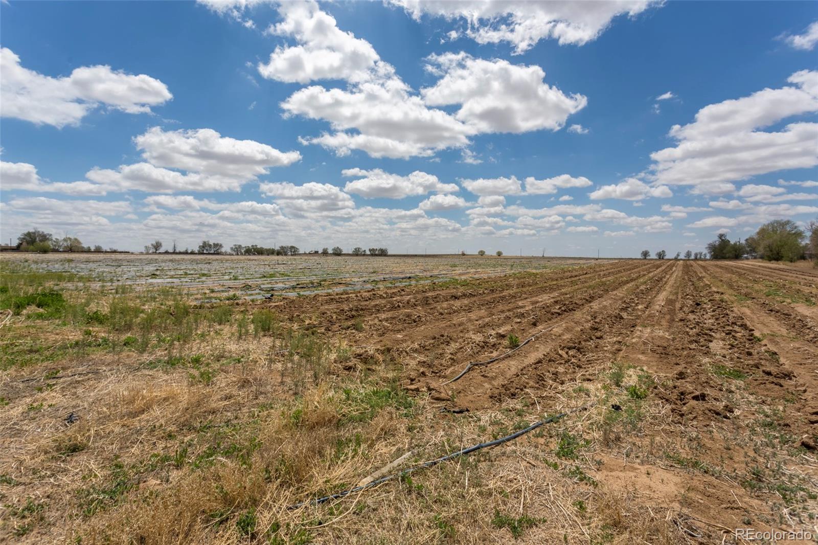 21550 Hanover Road Colorado Springs, CO 80928 - Photo 23 of 29 a view of an ocean