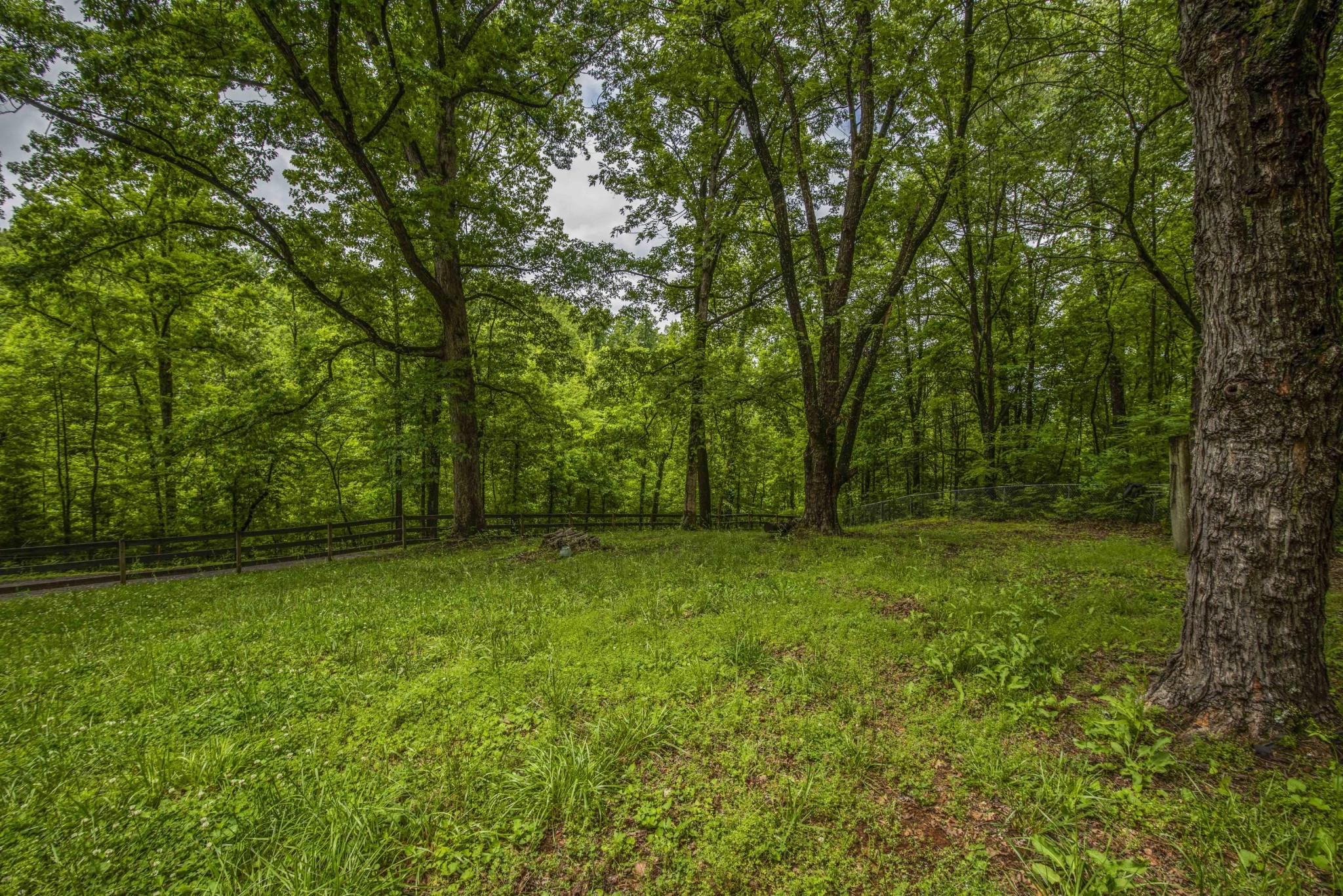 503 Ownby Road Greenback, TN 37742 - Photo 10 of 39