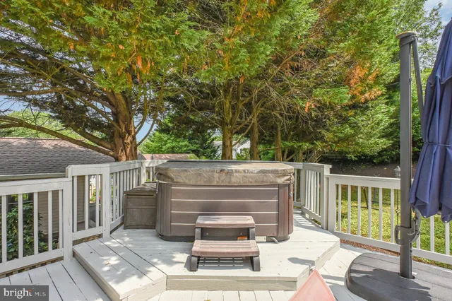 a view of a park with potted plants and large trees