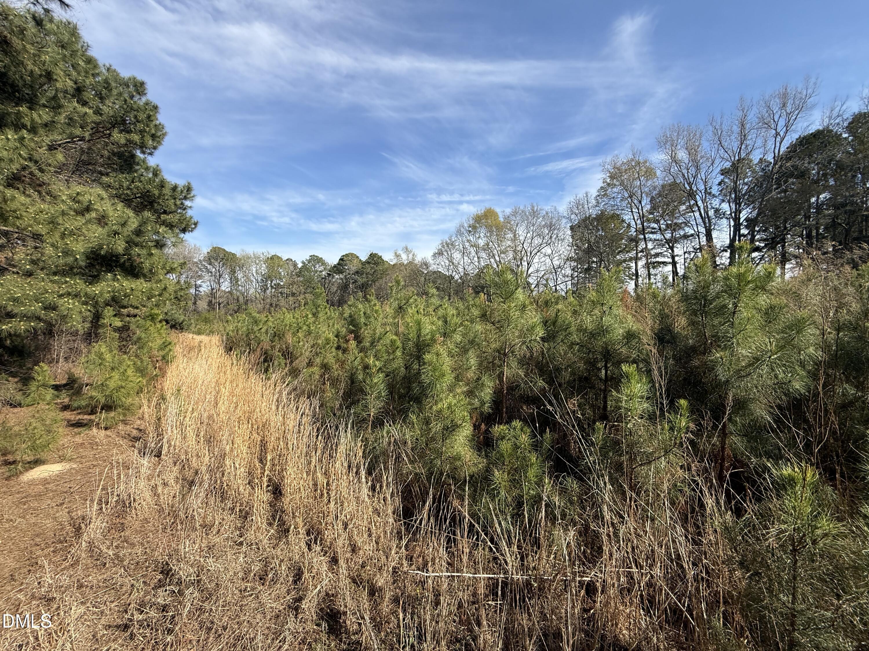 0 Chic Ennis Road Benson, NC 27504 - Photo 11 of 11 a view of residential houses with outdoor space and trees