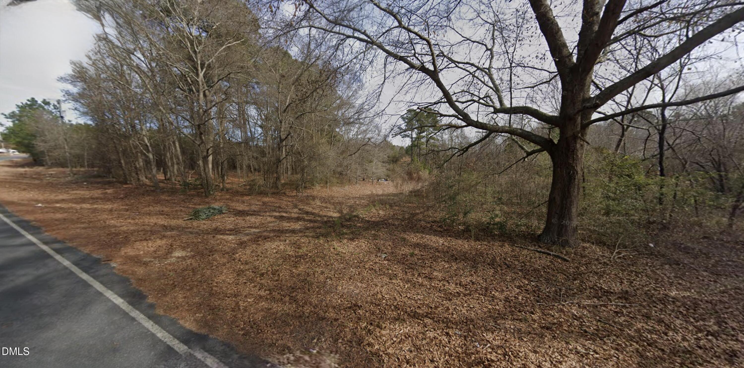 0 Chic Ennis Road Benson, NC 27504 - Photo 3 of 11 a view of backyard with large trees