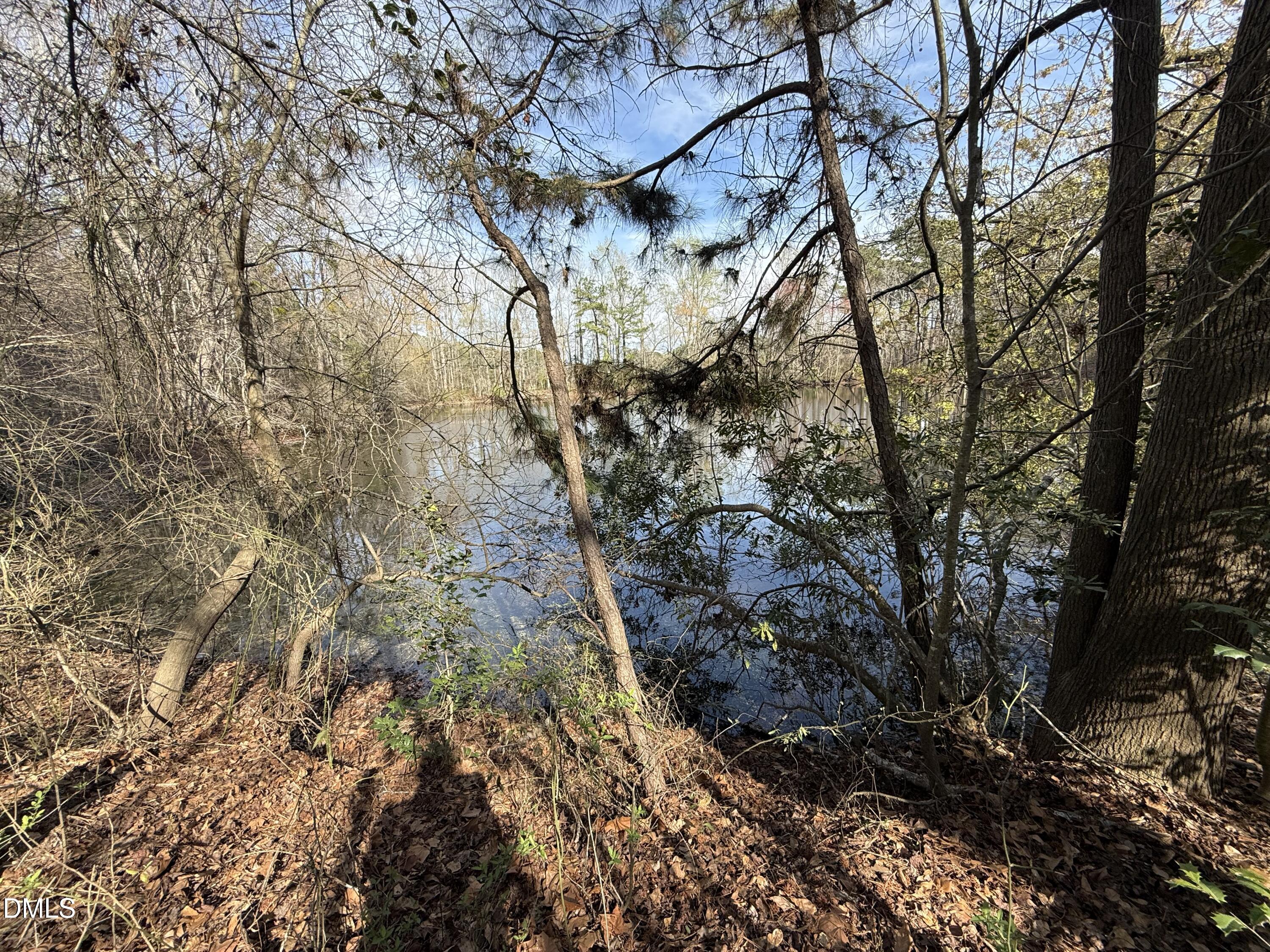 0 Chic Ennis Road Benson, NC 27504 - Photo 5 of 11 a backyard of a house with lots of green space