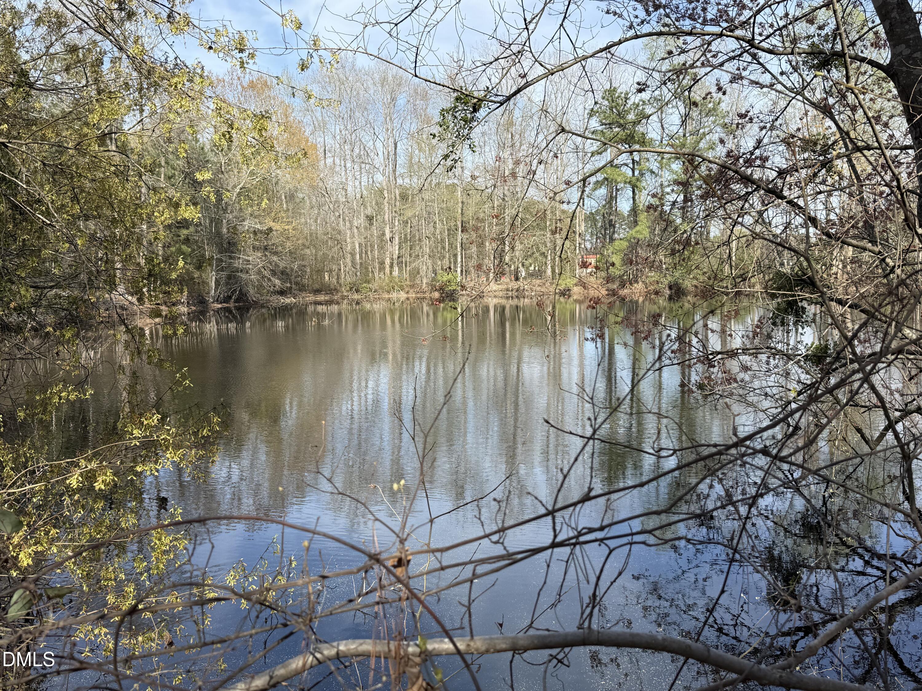 0 Chic Ennis Road Benson, NC 27504 - Photo 6 of 11 a view of lake