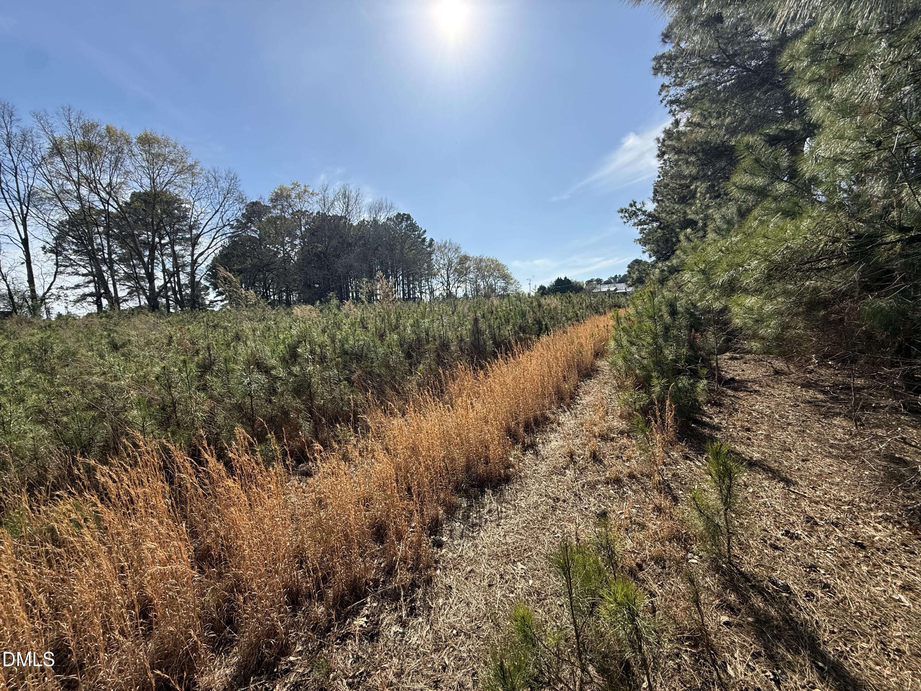 0 Chic Ennis Road Benson, NC 27504 - Photo 7 of 11